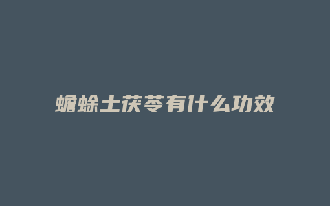 蟾蜍土茯苓有什么功效