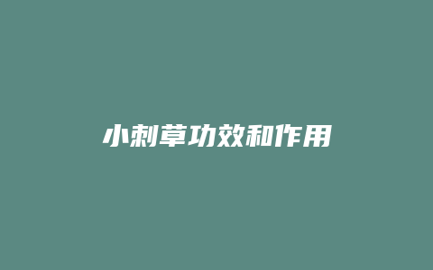 小刺草功效和作用