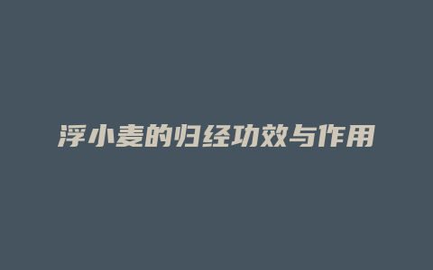 浮小麦的归经功效与作用