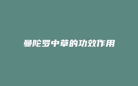 曼陀罗中草的功效作用