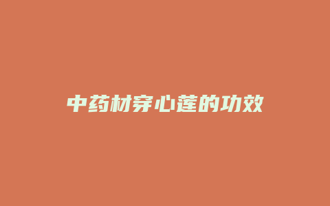 中药材穿心莲的功效