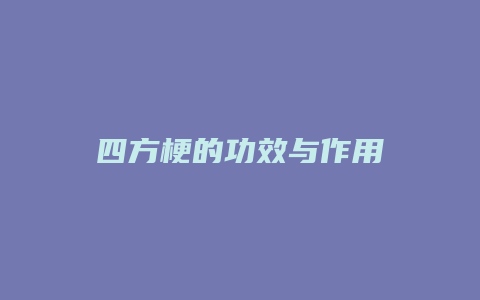 四方梗的功效与作用
