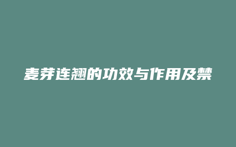麦芽连翘的功效与作用及禁忌