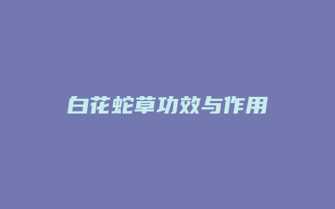 白花蛇草功效与作用