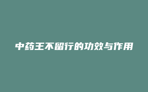 中药王不留行的功效与作用和副作用