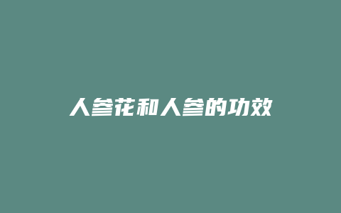 人参花和人参的功效