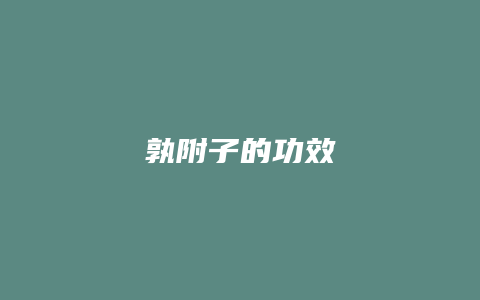 孰附子的功效