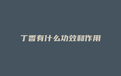 丁香有什么功效和作用
