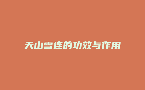 天山雪连的功效与作用