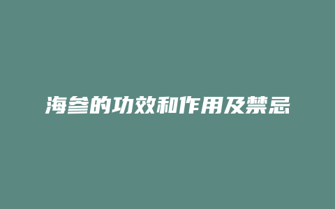 海参的功效和作用及禁忌