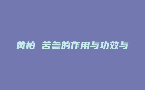 黄柏 苦参的作用与功效与作用