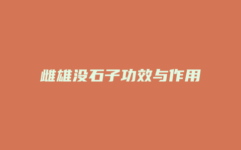 雌雄没石子功效与作用