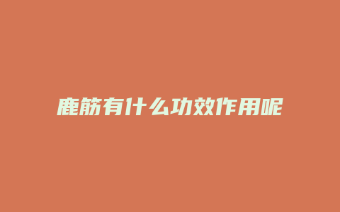 鹿筋有什么功效作用呢