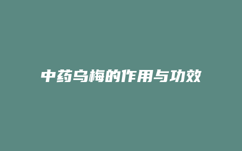 中药乌梅的作用与功效