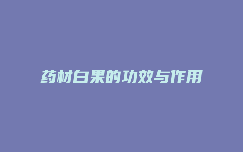 药材白果的功效与作用