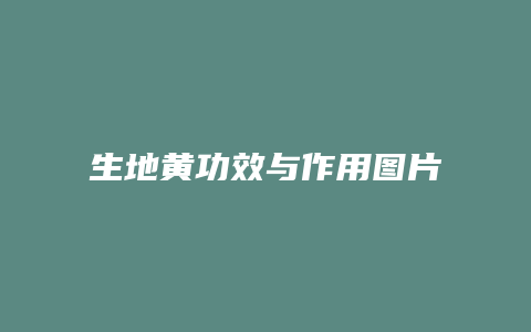生地黄功效与作用图片