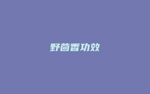 野茴香功效