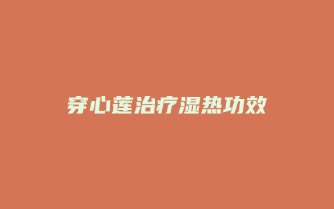 穿心莲治疗湿热功效