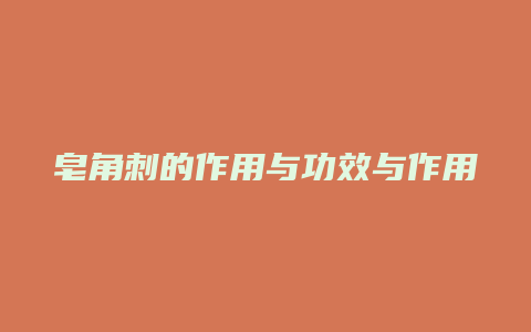 皂角刺的作用与功效与作用