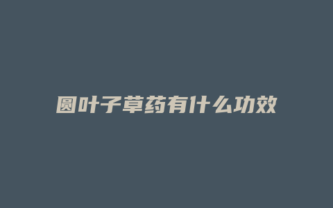 圆叶子草药有什么功效