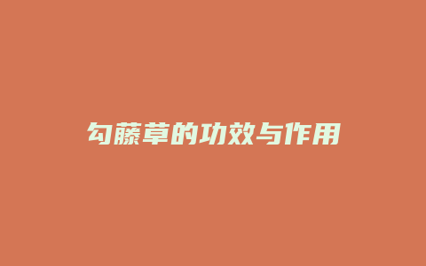 勾藤草的功效与作用