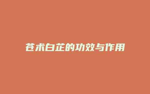 苍术白芷的功效与作用