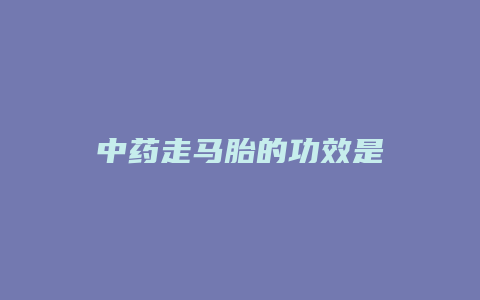 中药走马胎的功效是