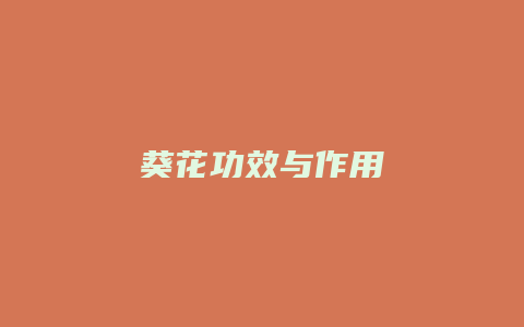 葵花功效与作用