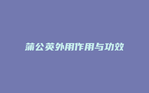 蒲公英外用作用与功效