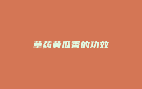草药黄瓜香的功效