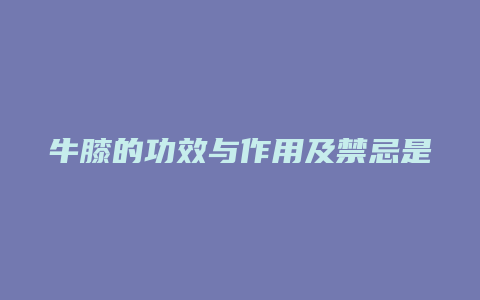 牛膝的功效与作用及禁忌是什么