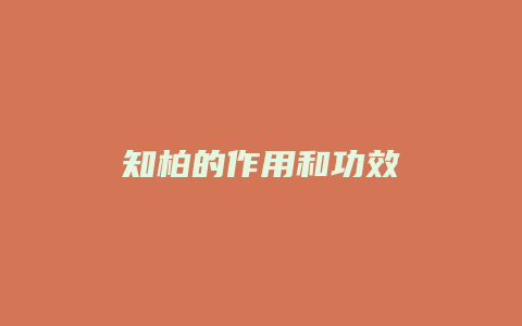 知柏的作用和功效