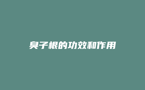 臭子根的功效和作用