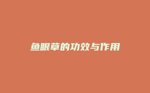 鱼眼草的功效与作用