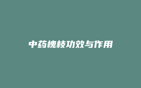 中药槐枝功效与作用