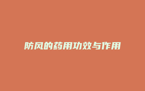 防风的药用功效与作用