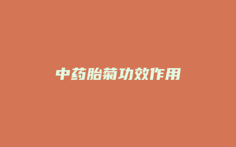 中药胎菊功效作用