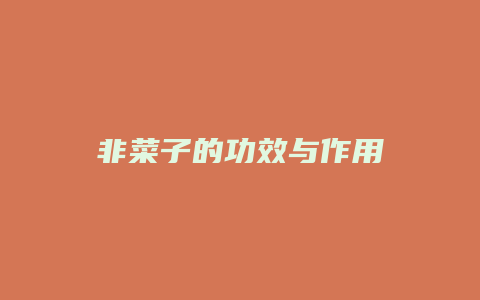 非菜子的功效与作用