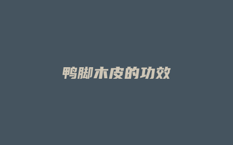 鸭脚木皮的功效