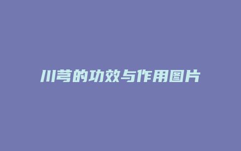 川芎的功效与作用图片