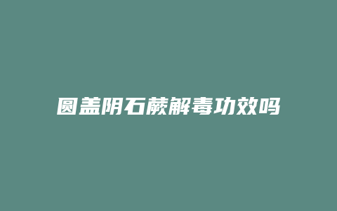 圆盖阴石蕨解毒功效吗
