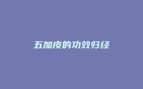 五加皮的功效归经