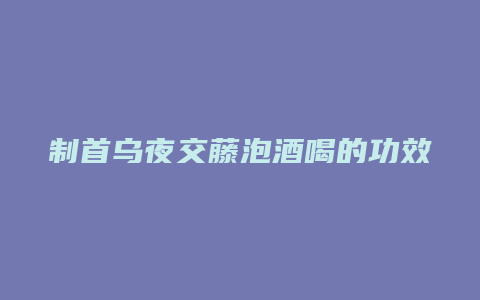 制首乌夜交藤泡酒喝的功效