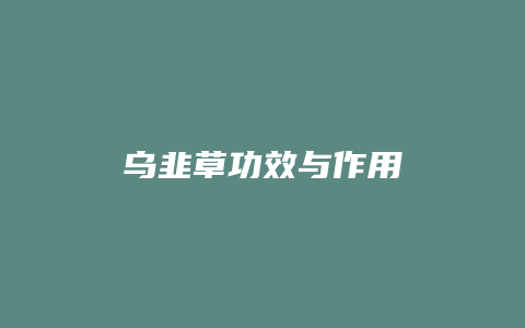 乌韭草功效与作用