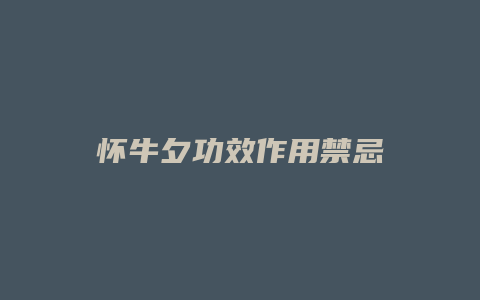 怀牛夕功效作用禁忌