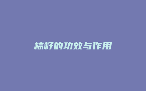 棕籽的功效与作用