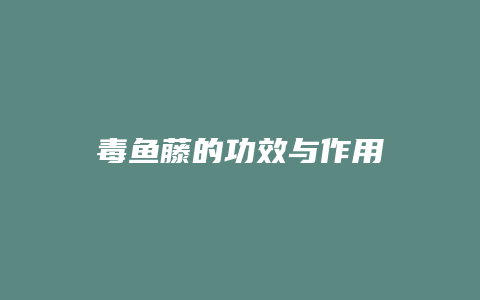 毒鱼藤的功效与作用