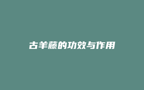 古羊藤的功效与作用