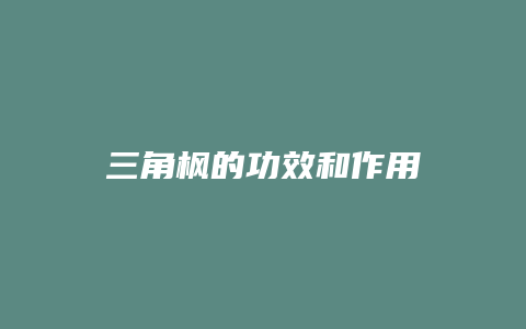 三角枫的功效和作用
