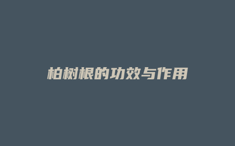 柏树根的功效与作用